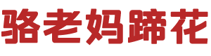 骆老妈蹄花,成都老字号餐饮品牌,本土老妈蹄花标杆